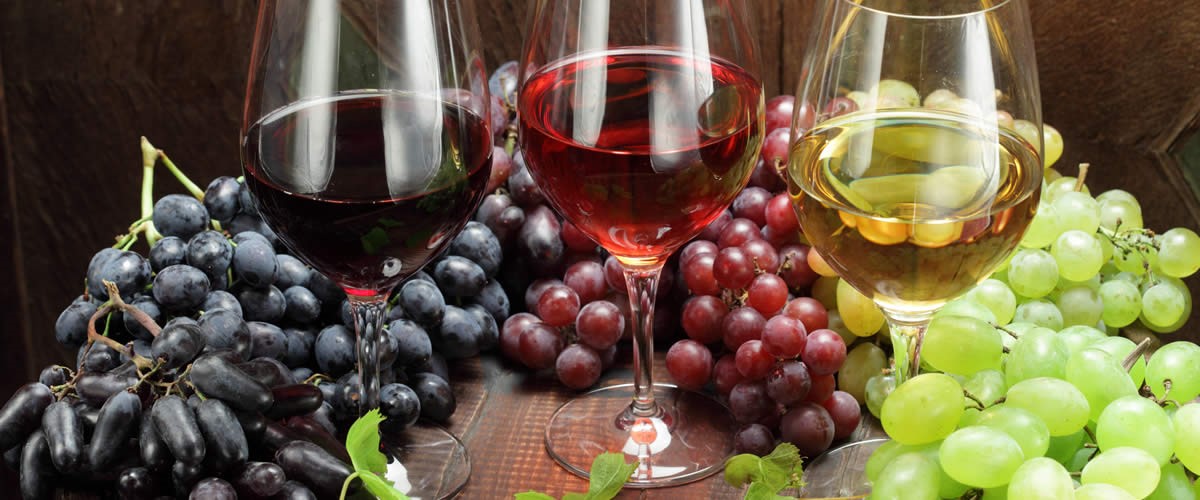 Tim Hieu Ruou Vang Truewine Nhatrang4