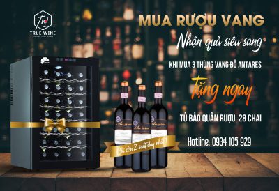 True Wine Nhatrang Cuahangruouvang Nhatrang