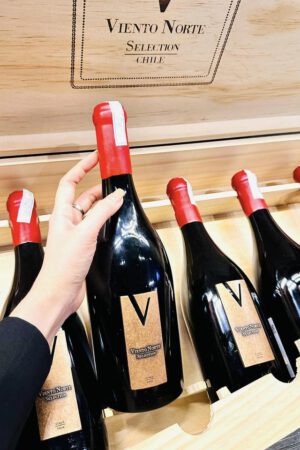 421081930 10220711380294740 270520595569261075 N