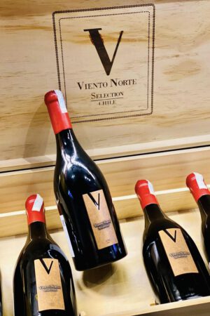 424561741 881483790643522 2947024996454738094 N